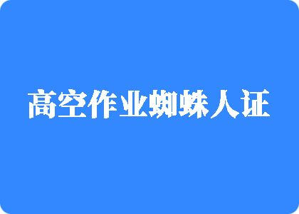 男人鸡巴插女人逼里视频网站高空作业蜘蛛人证